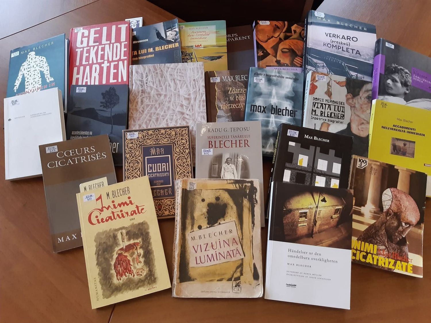 Books by Max Blecher