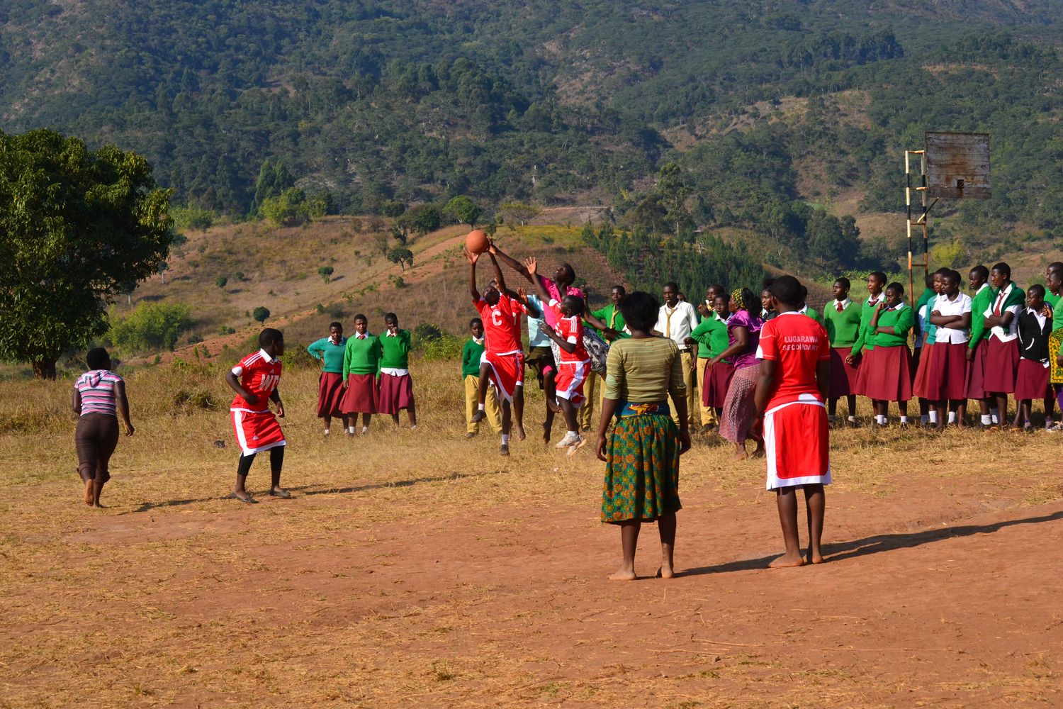 Teams competing in the netball championship