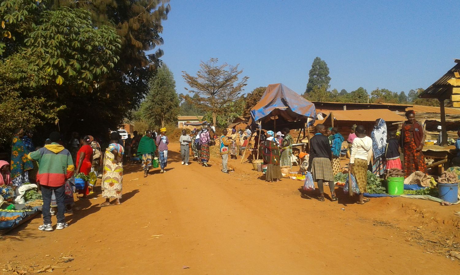 The Nane Nane market in the center of Lugarawa